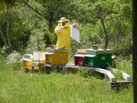 Il "tetto" della tecnoarnia